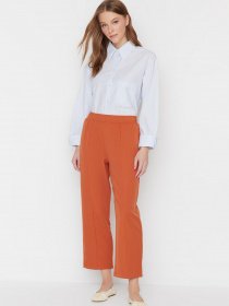 Штани класичні Trendyol модель TCTSS21PL0570/Acik Kahverengi Фото