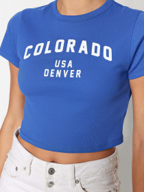 Футболка Trendyol модель TWOSS23TS00101/Saks Футболка Trendyol модель TWOSS23TS00101/Saks Фото