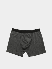 Труси Trendyol модель TMNAW20BX0063/Antrasit Фото