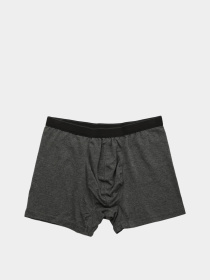 Труси Trendyol модель TMNAW20BX0063/Antrasit Фото