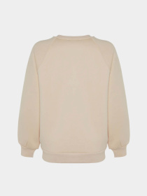 Свитшот Trendyol модель TWOAW24SW00104/Tas Фото