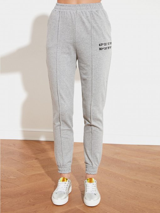 Спортивні штани Trendyol модель TWOSS21EA0013/Gri Фото
