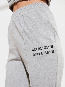 Спортивні штани Trendyol модель TWOSS21EA0013/Gri Фото