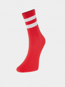 Набір шкарпеток Trendyol модель TMNAW20CO0007/Cok Renkli Фото