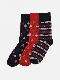 Набор носков Trendyol модель TMNAW22CO0315/Cok Renkli Фото