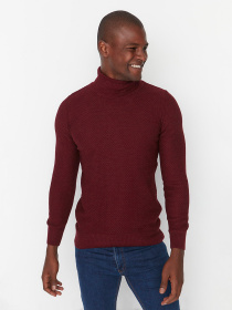 Водолазка Trendyol модель TMNAW21KZ0575/Bordo Фото