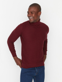 Гольф Trendyol модель TMNAW21KZ0575/Bordo Фото