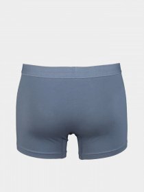 Набір трусів Trendyol модель TMNAW23BX00006/Lacivert Фото