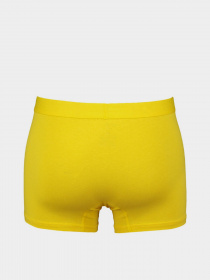 Набор трусов Trendyol модель TMNAW23BX00030/Cok Renkli Фото