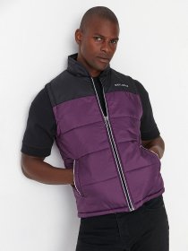Жилет с утеплителем Trendyol модель TMNAW23YE00004/Mor Фото
