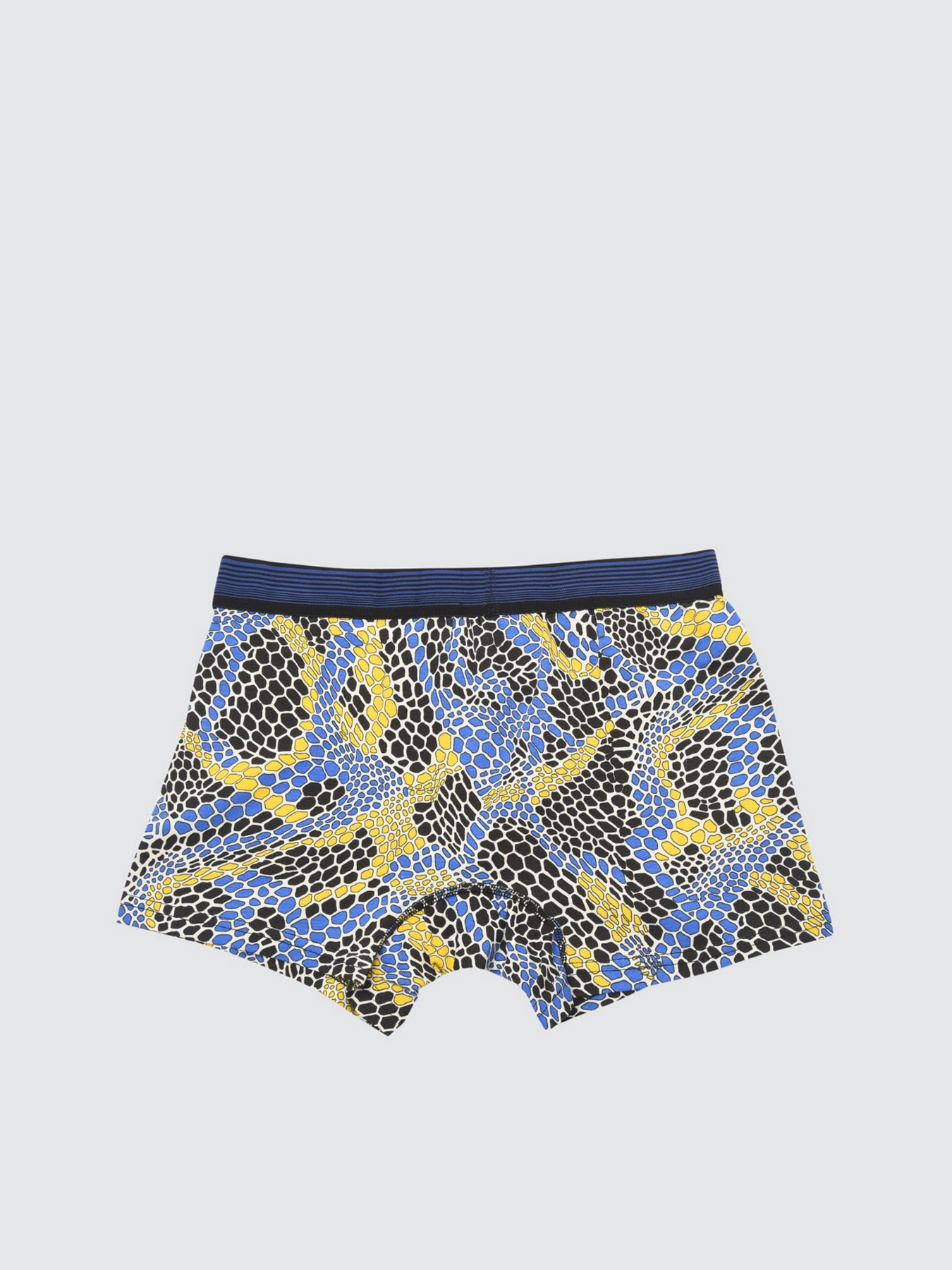 Набор трусов Trendyol модель TMNSS21BX0021/Cok Renkli Фото