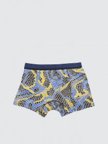 Набор трусов Trendyol модель TMNSS21BX0021/Cok Renkli Фото