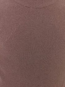 Водолазка Trendyol модель TMNAW21KZ0553/Vizon Фото