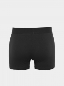 Набор трусов Trendyol модель TMNAW23BX00001/Siyah Фото
