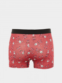 Набор трусов Trendyol модель TMNAW23BX00003/Kirmizi Фото