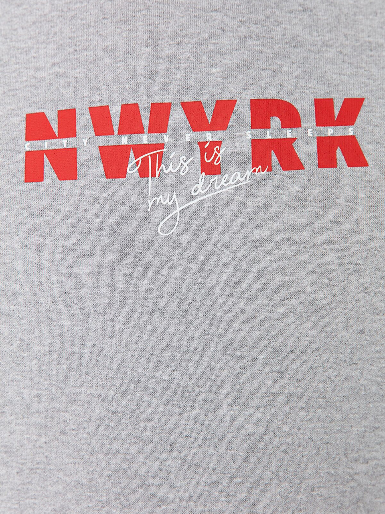 Худи Trendyol модель TMNAW23SW00040/Gri Фото