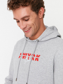 Худи Trendyol модель TMNAW23SW00040/Gri Фото