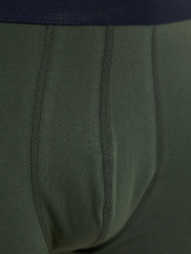 Набор трусов Trendyol модель TMNAW20BX0063/Haki Набор трусов Trendyol модель TMNAW20BX0063/Haki Фото