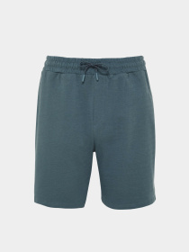 Шорты Trendyol модель TMNSS23SR00035/Petrol Фото