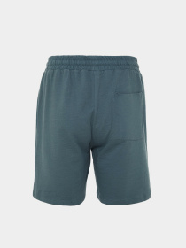 Шорты Trendyol модель TMNSS23SR00035/Petrol Фото