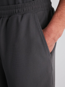 Шорты Trendyol модель TMNSS24SR00037/Fume Фото