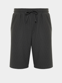 Шорты Trendyol модель TMNSS24SR00037/Fume Фото