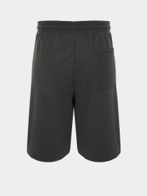 Повседневные шорты Trendyol модель TMNSS24SR00037/Fume Фото