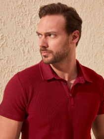 Поло Trendyol модель TMNSS20PO0002/Bordo Фото