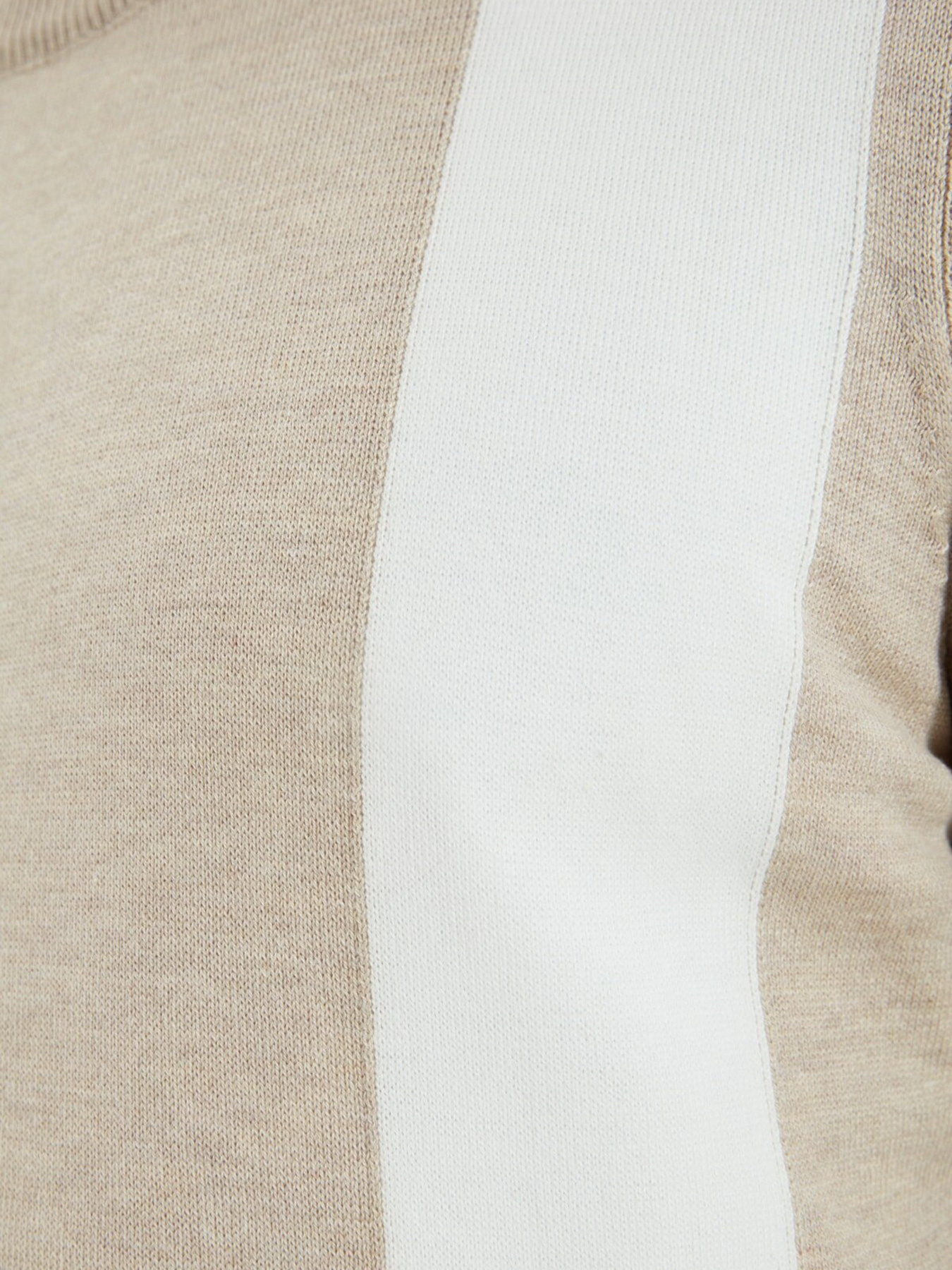 Джемпер Trendyol модель TMNAW22KZ0585/Vizon Фото