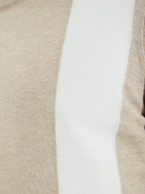 Джемпер Trendyol модель TMNAW22KZ0585/Vizon Фото