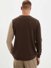 Джемпер Trendyol модель TMNAW22KZ0587/Kahverengi Фото