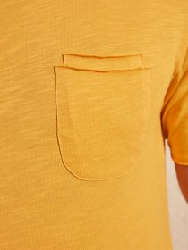 Футболки и поло Trendyol модель TMNSS20TS0305/Hardal Фото