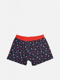 Набор трусов Trendyol модель TMNAW22BX0007/Cok Renkli Набор трусов Trendyol модель TMNAW22BX0007/Cok Renkli Фото