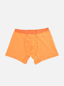 Набор трусов Trendyol модель TMNAW22BX0010/Cok Renkli Фото