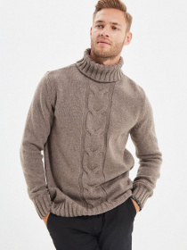 Свитер Trendyol модель TMNAW22KZ0303/Vizon Фото