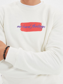 Свитшот Trendyol модель TMNAW22SW0055/Ekru Фото