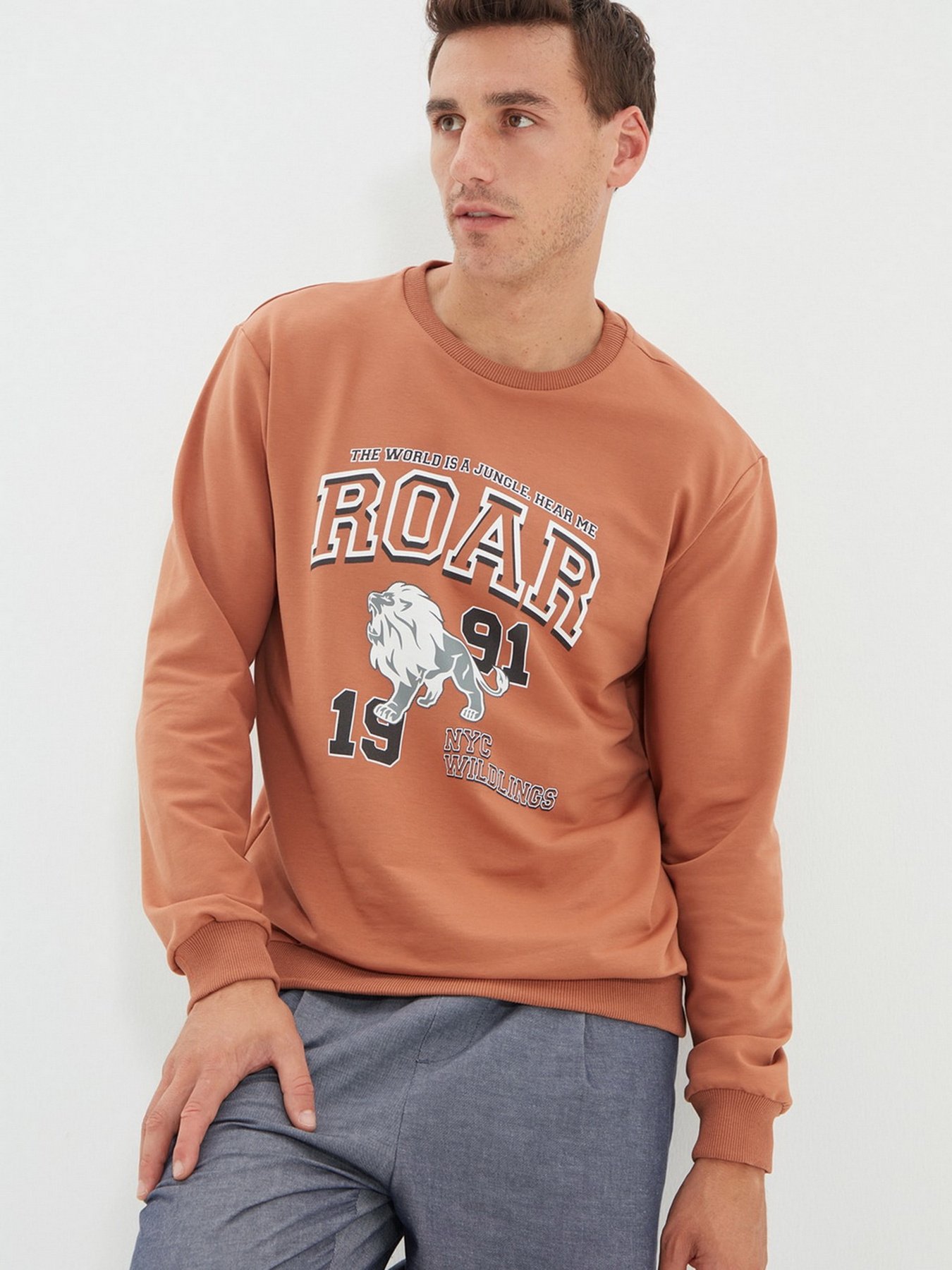 Світшот Trendyol модель TMNAW22SW0097/Camel Фото