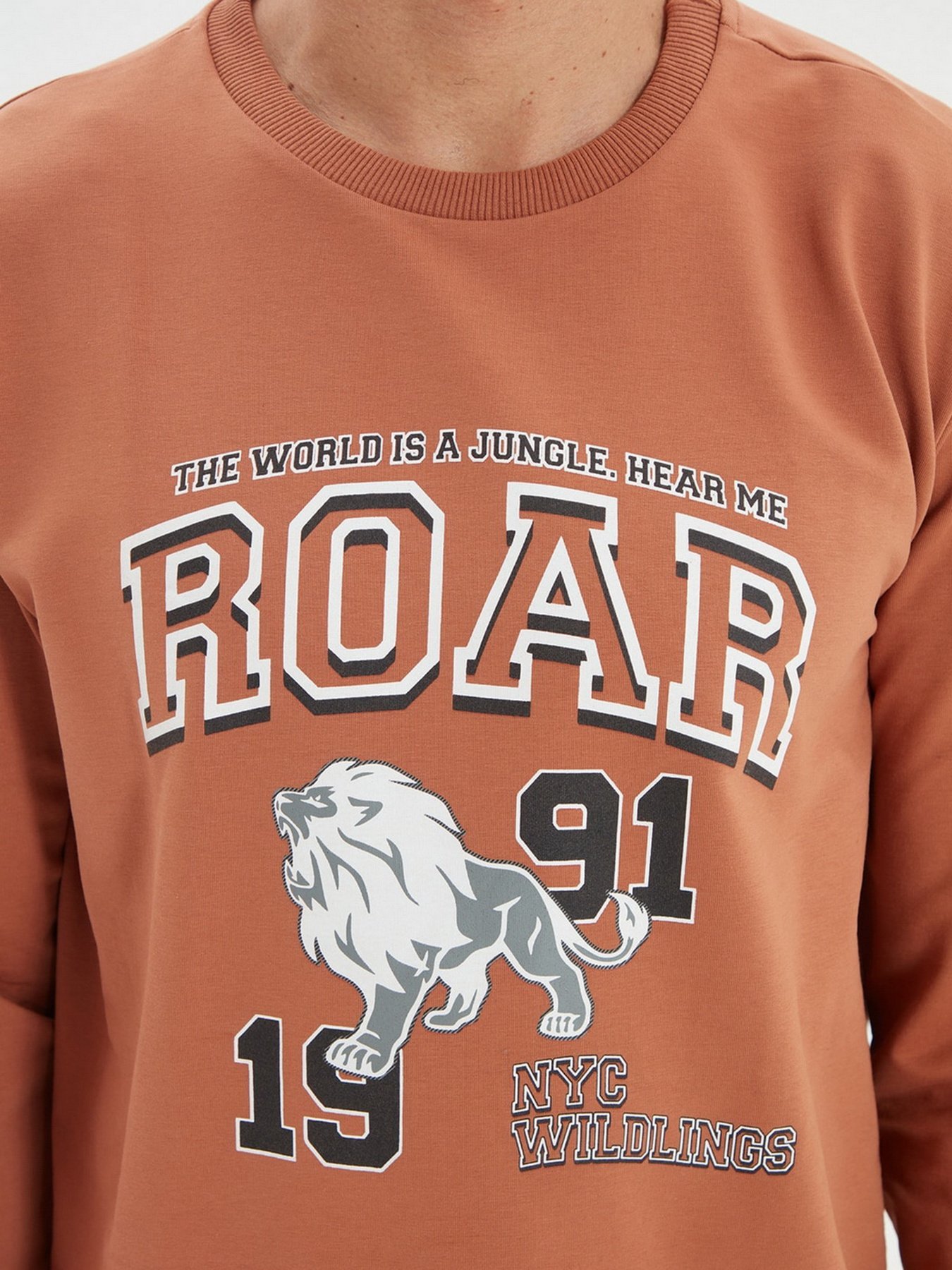 Світшот Trendyol модель TMNAW22SW0097/Camel Фото