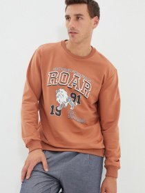 Світшот Trendyol модель TMNAW22SW0097/Camel Фото