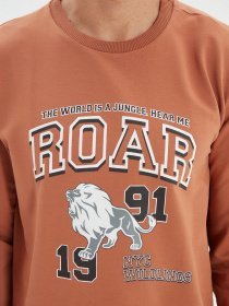 Світшот Trendyol модель TMNAW22SW0097/Camel Фото