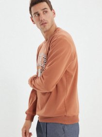 Світшот Trendyol модель TMNAW22SW0097/Camel Фото