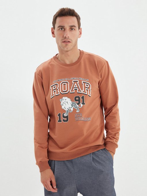 Свитшот Trendyol модель TMNAW22SW0097/Camel Фото
