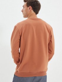 Свитшот Trendyol модель TMNAW22SW0097/Camel Фото