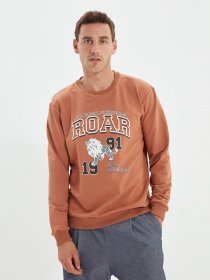 Свитшот Trendyol модель TMNAW22SW0097/Camel Фото