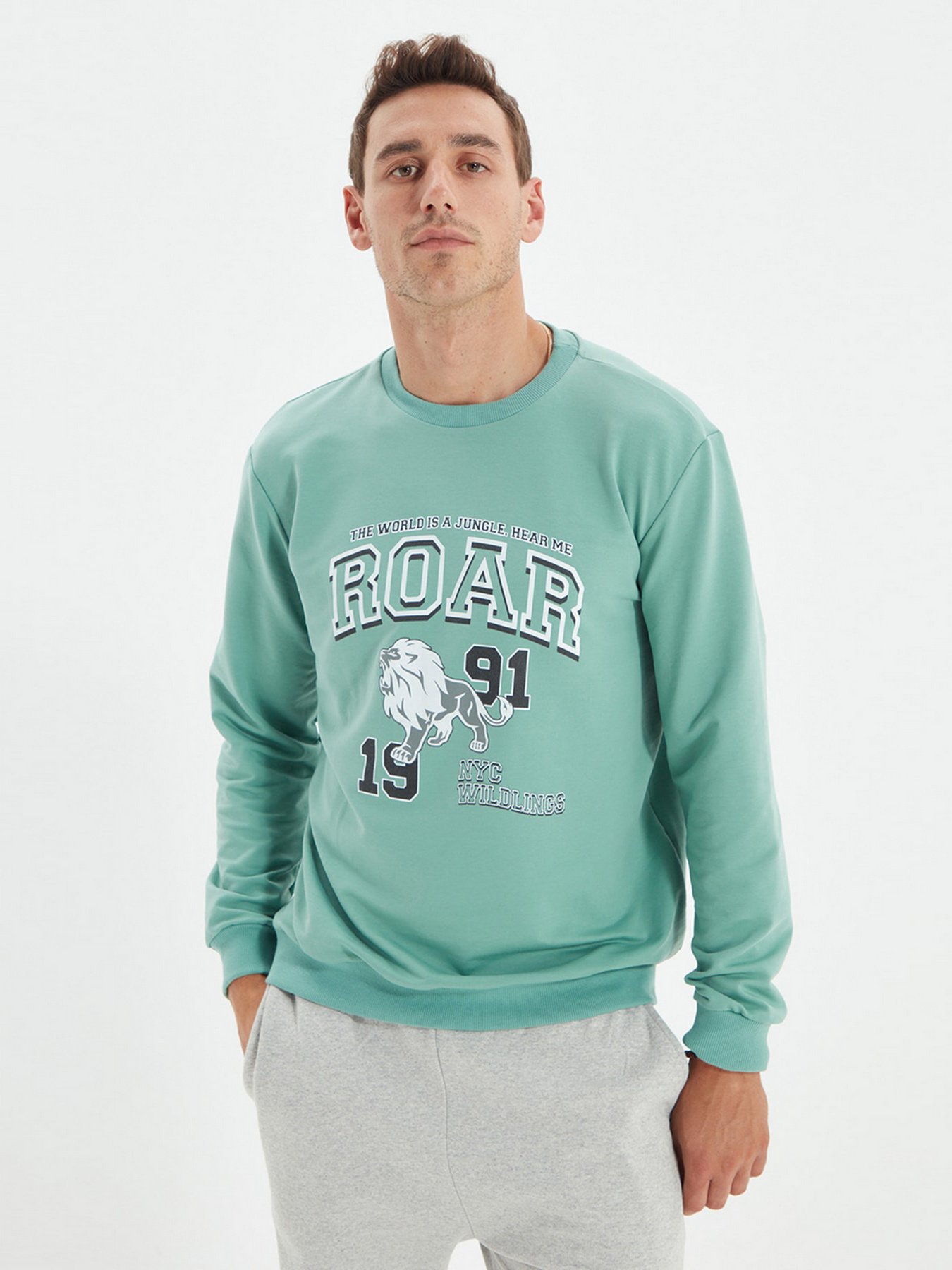 Світшот Trendyol модель TMNAW22SW0097/Mint Фото