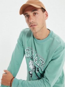 Світшот Trendyol модель TMNAW22SW0097/Mint Фото