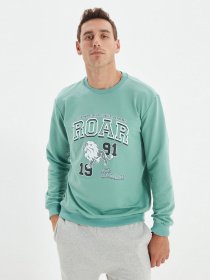 Світшот Trendyol модель TMNAW22SW0097/Mint Фото