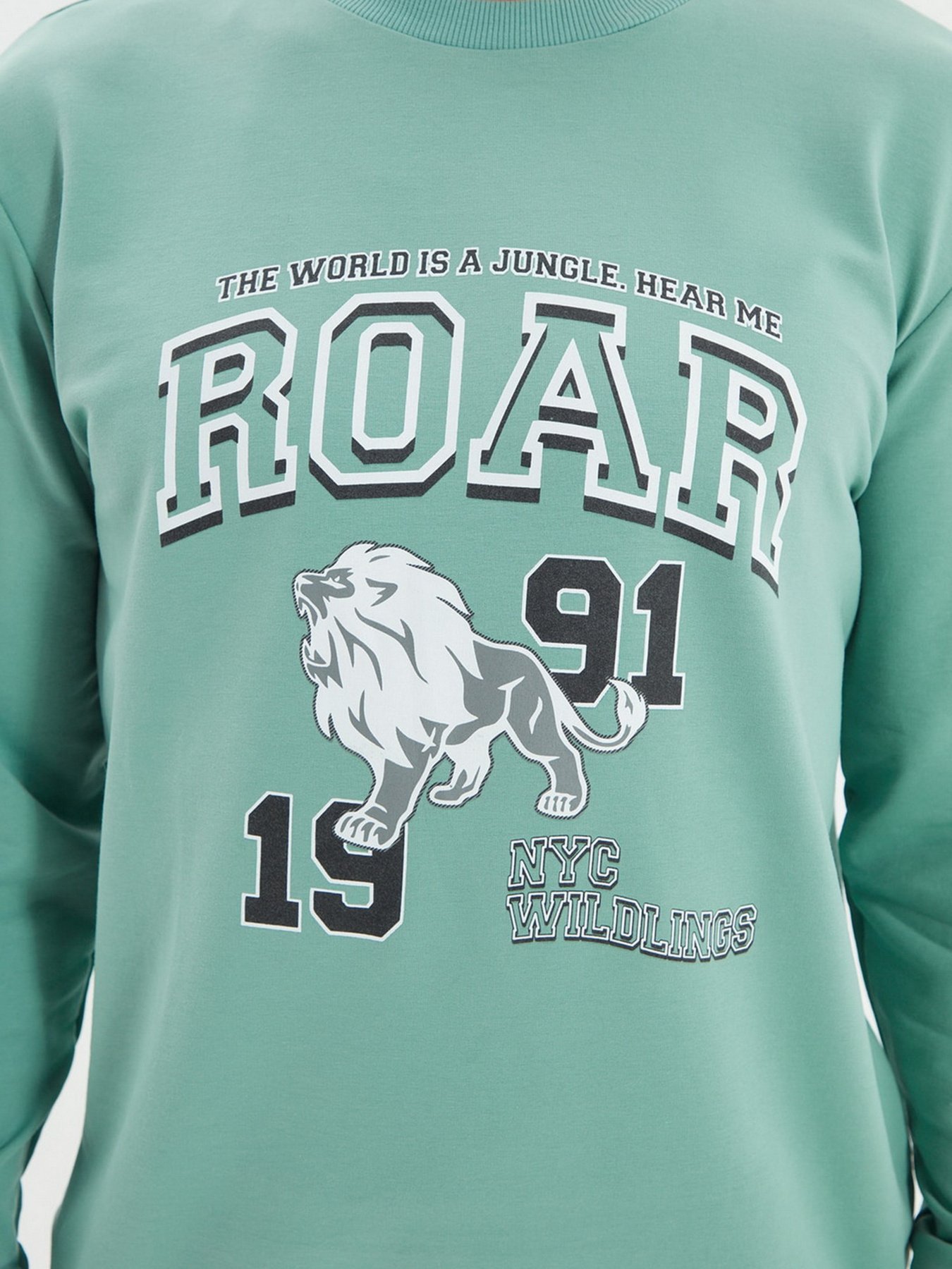 Світшот Trendyol модель TMNAW22SW0097/Mint Фото