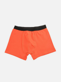 Набор трусов Trendyol модель TMNAW22BX0006/Cok Renkli Фото