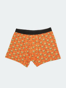 Набор трусов Trendyol Boxer модель TMNAW22BX0017/Cok Renkli Фото